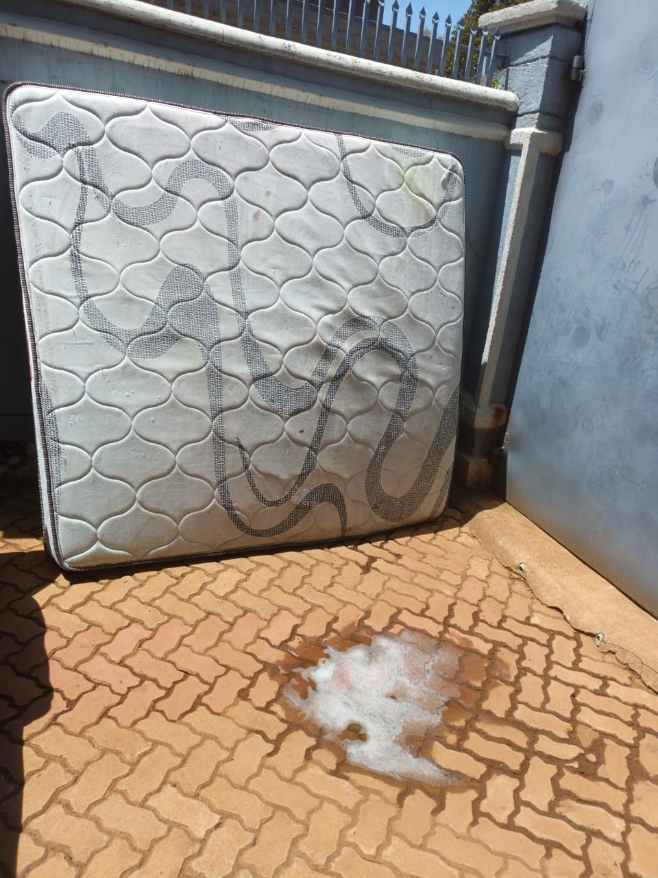 Carpet steam cleaning