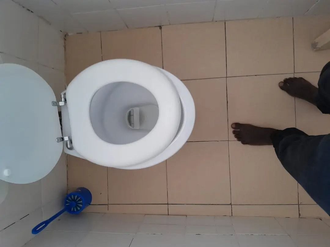 Toilet cleaning